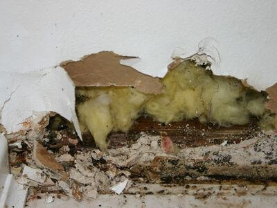 Professional storm damage restoration services in Phoenix - water damage restoration service